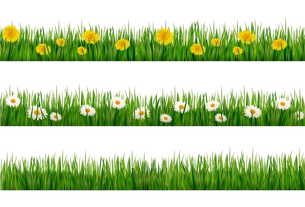 ensemble d'herbe verte avec des pissenlits et des marguerites