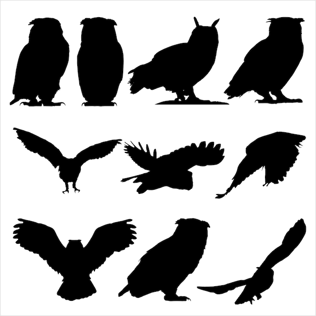 Ensemble de hiboux Silhouette Bundle animaux icônes WildLife
