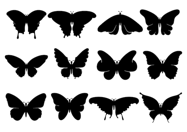 Ensemble Ou Icône De Silhouettes De Papillon Noir