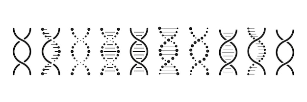 Vecteur ensemble d'icônes d'adn modèle de gène de vie bio code génétique molécule symboles médicaux structure molécule chromosome icône ensemble vectoriel d'éléments adn