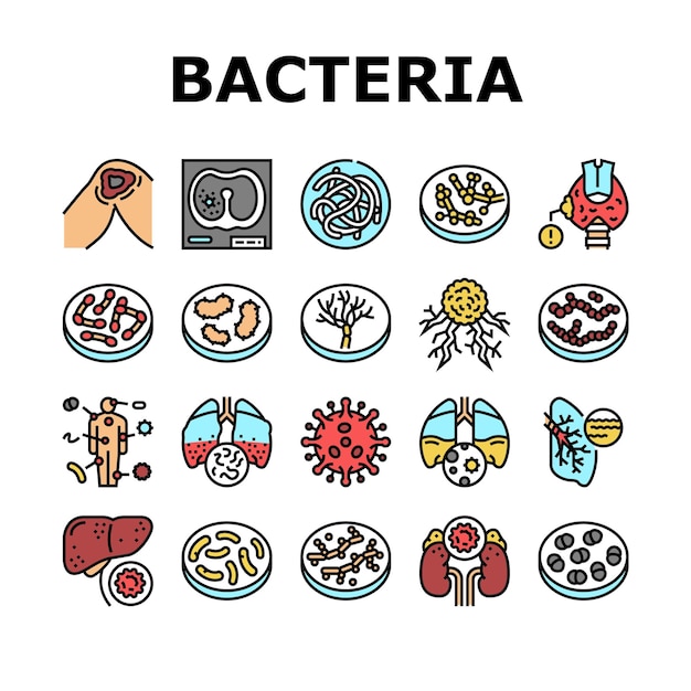 Ensemble D'icônes De Collection D'infection Bactérienne