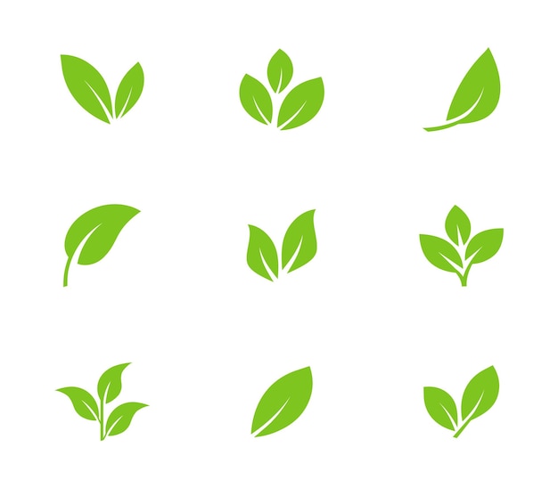 Ensemble d'icônes de feuilles vertes Feuilles d'arbres et de plantes Icône de feuilles Collection feuille verte Conception d'éléments pour les étiquettes éco bio végétaliennes naturelles Illustration vectorielle