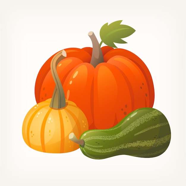 Vecteur ensemble d'icônes de gourdes et de courges de citrouilles disposées en groupes. illustrations de légumes pour l'automne