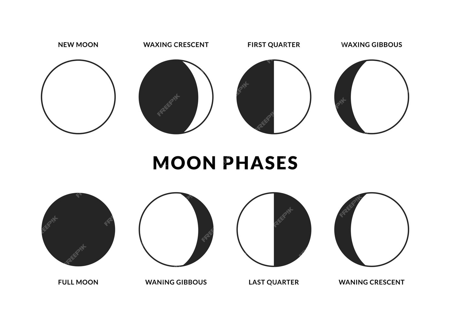 Ensemble Dicônes De Phases De Lune Calendrier Lunaire Nouveau