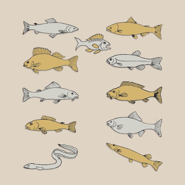 Un ensemble d'icônes de poissons, un logo rétro, un modèle d'affiche d'illustration vintage, des éléments vectoriels de conception.