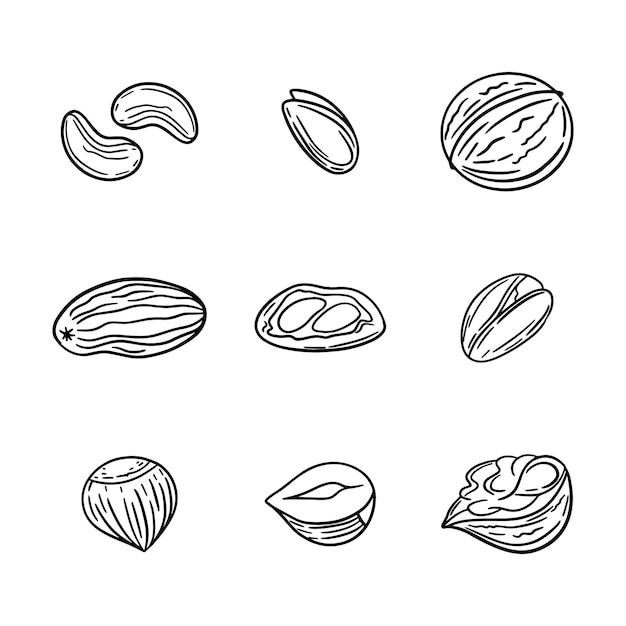 Vecteur ensemble d'icônes vectorielles de noix de cajou
