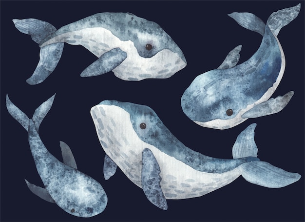 Ensemble d'illustration aquarelle de baleines sur fond blanc