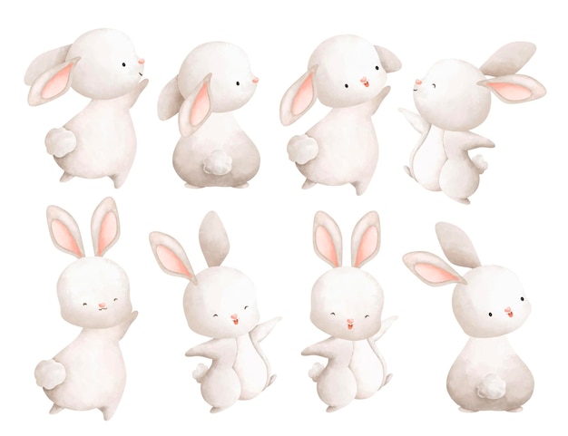 Vecteur ensemble d'illustration aquarelle de lapin blanc