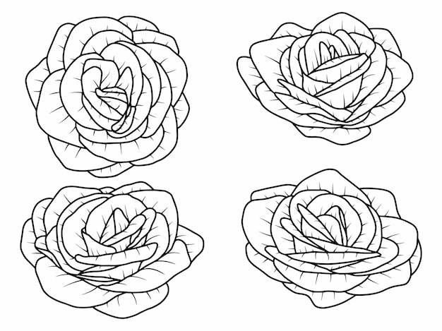 Ensemble d'illustration d'art de ligne de croquis de fleur rose dessinés à la main