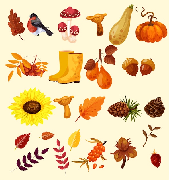 Ensemble d'illustration d'automne