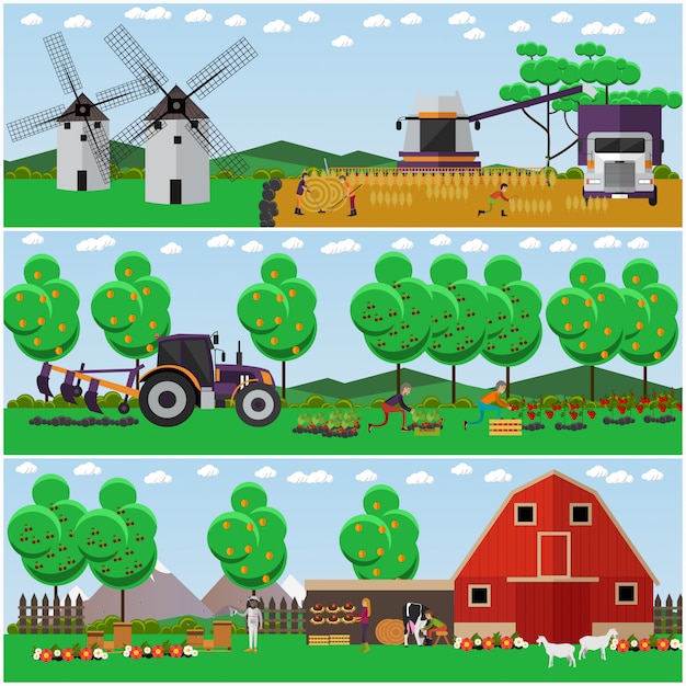 Ensemble D'illustration De Conception De Concept Agricole Dans Un Style Plat