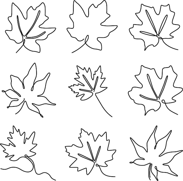 ensemble d'illustration continue d'une ligne de feuille d'érable automne