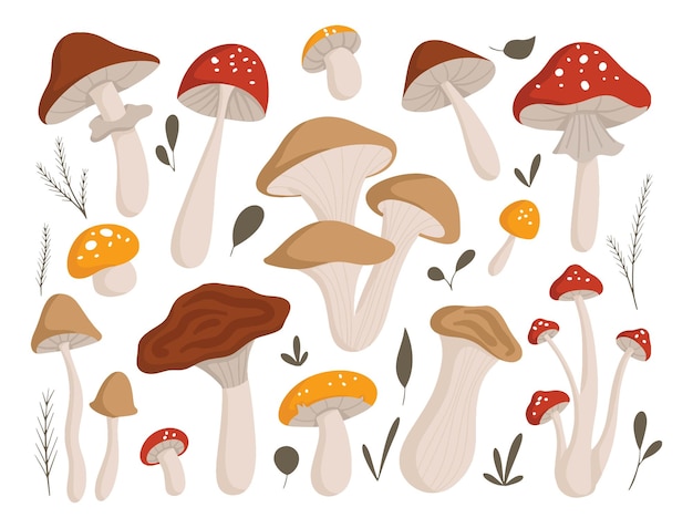 Ensemble D'illustration De Doodle De Style Plat D'élément De Conception De Champignon