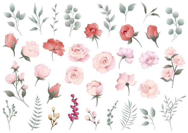 Ensemble d'illustration d'élément floral vectoriel isolé sur fond blanc