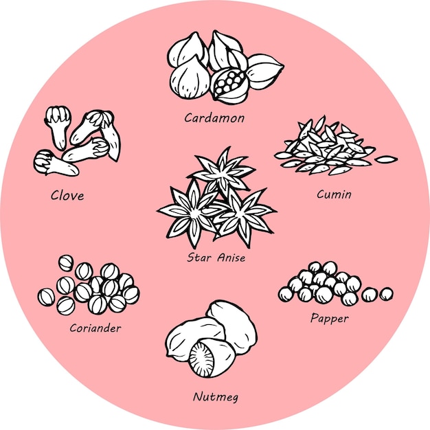 Ensemble D'illustration D'épices Et D'herbes