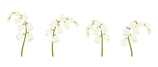 Ensemble D'illustration De Fleurs épanouies De Muguet Blanc