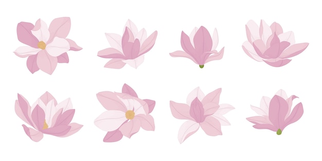 Ensemble D'illustration De Fleurs En Fleurs De Magnolia Rose