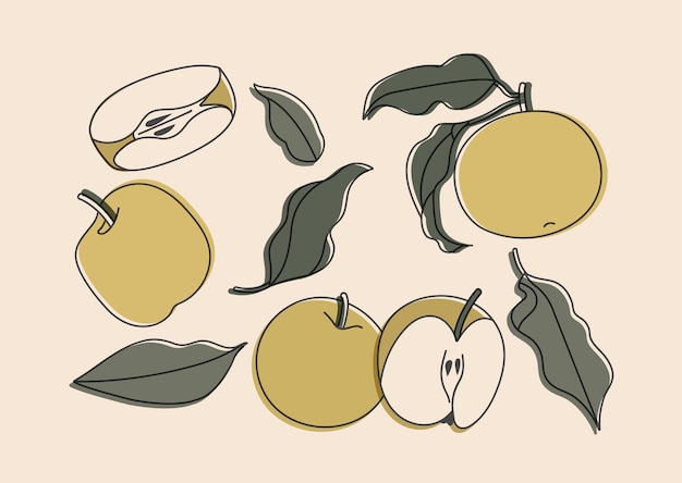 Vecteur ensemble d'illustration de pommes isolé