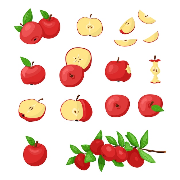 Ensemble D'illustration Vectorielle D'éléments De Pommes Rouges