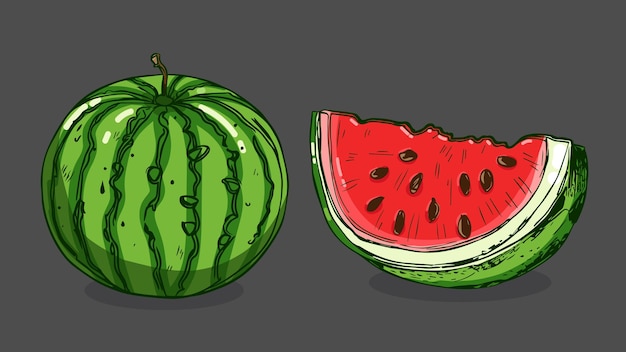 Vecteur ensemble d'illustration vectorielle de fruits de pastèque dans un style de croquis en une ligne, croquis dessiné à la main