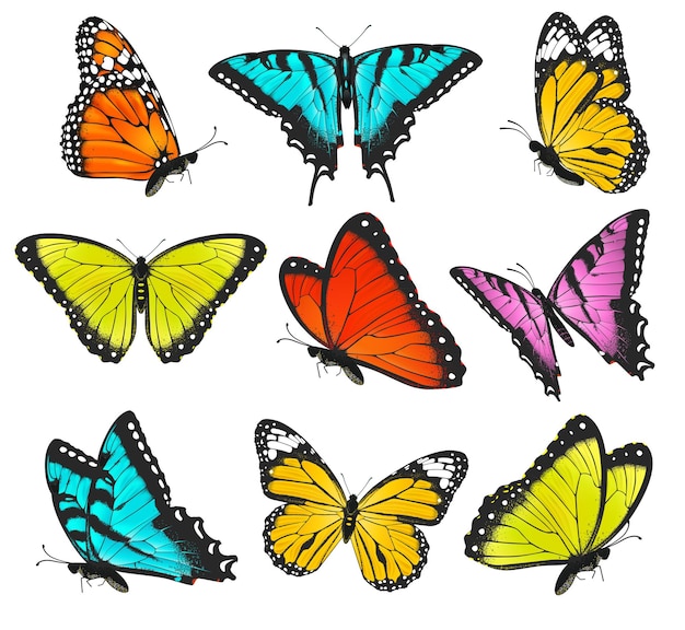 Ensemble D'illustration Vectorielle De Papillons Colorés