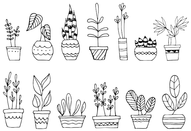 Ensemble D'illustration Vectorielle De Plante D'intérieur Avec Une Conception De Doodle De Ligne Simple