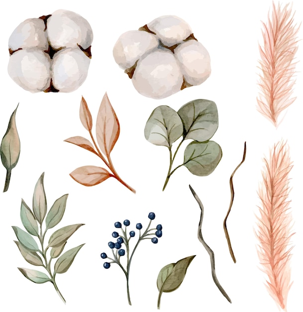 Vecteur ensemble d'illustrations à l'aquarelle avec des baies et des feuilles de coton