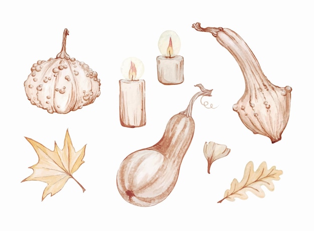 Ensemble D'illustrations à L'aquarelle De Citrouilles Et De Feuilles Beiges, Style Bohème Aux Couleurs écologiques, Clip Art