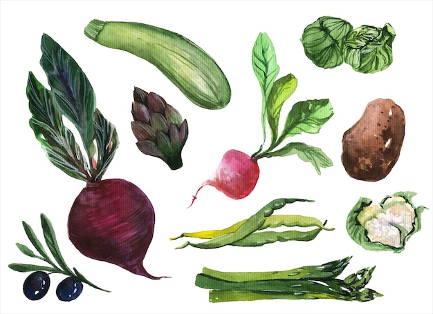 Ensemble d'illustrations aquarelle dessinés à la main de légumes frais. Collection de verts sur fond blanc. Ingrédients de la salade, légumes, aliments biologiques, articles de nutrition saine Pack de peintures aquarelle