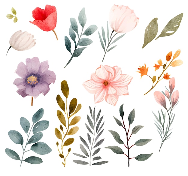 ensemble d'illustrations botaniques à l'aquarelle