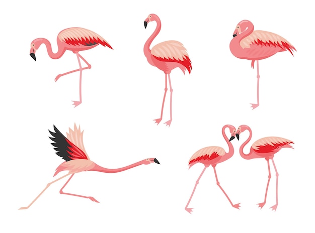 Ensemble d'illustrations de dessin animé oiseau flamant rose. Oiseau rose volant, debout, mangeant, montrant de l'amour. Collection d'autocollants, de motifs, d'imprimés avec un personnage de flamant rose à l'aquarelle