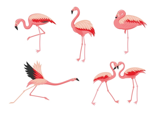 Ensemble D'illustrations De Dessin Animé Oiseau Flamant Rose. Oiseau Rose Volant, Debout, Mangeant, Montrant De L'amour. Collection D'autocollants, De Motifs, D'imprimés Avec Un Personnage De Flamant Rose à L'aquarelle