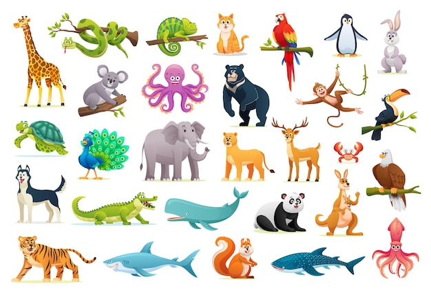 Ensemble D'illustrations De Dessins Animés D'animaux Sauvages