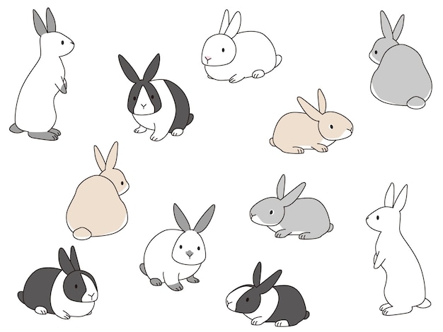 Ensemble d'illustrations de différents types de lapins