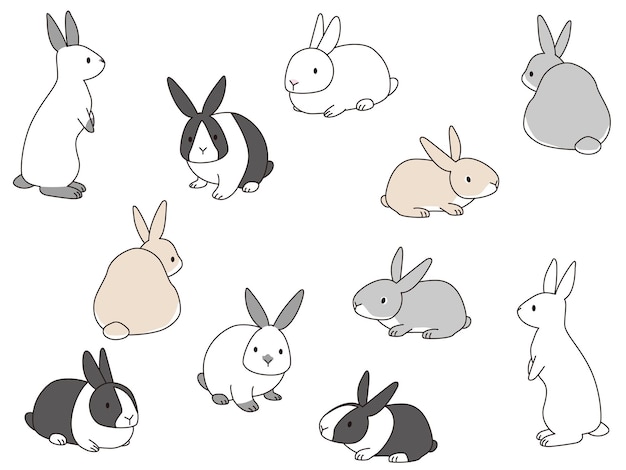 Ensemble D'illustrations De Différents Types De Lapins