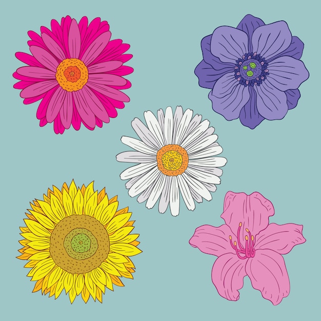 Ensemble D'illustrations De Fleurs Colorées