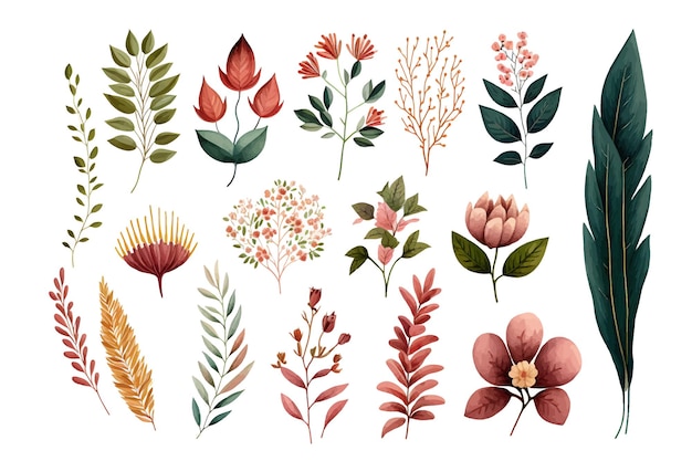 Vecteur ensemble d'illustrations florales à l'aquarelle. modèle d'éléments décoratifs. isolat d'illustration de dessin animé plat