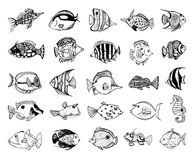 Vecteur ensemble d'illustrations monochromes de poissons