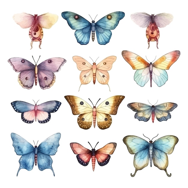 Ensemble D'illustrations Peintes à La Main à L'aquarelle De Papillons De Nuit Et De Papillons