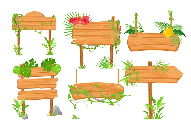 Ensemble d'illustrations plates de panneaux de jungle en bois Pointeurs de route planches de bois et plantes tropicales