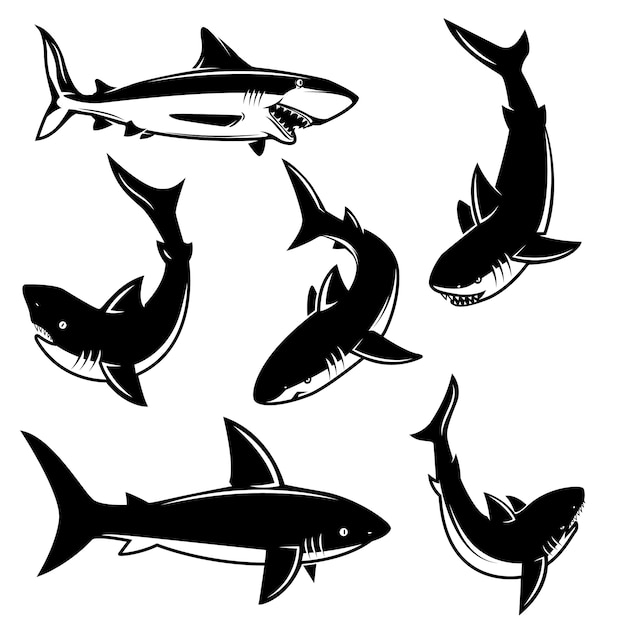 Ensemble D'illustrations De Requins. élément Pour Affiche, Impression, Emblème, Signe. Illustration