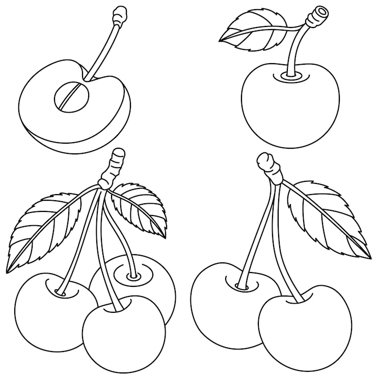 Vecteur ensemble d'illustrations de vecteurs isolés à la cerise