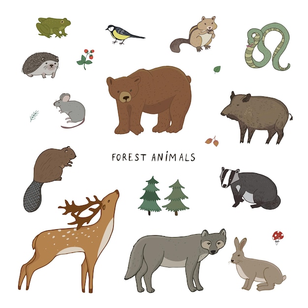 Ensemble d'illustrations vectorielles d'animaux de la forêt