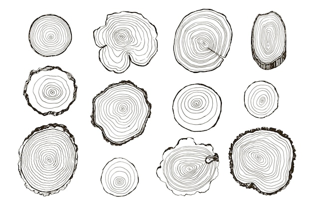 Vecteur ensemble d'illustrations vectorielles de cernes d'arbres