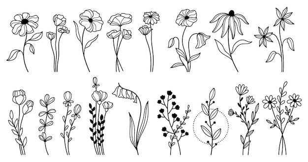 Vecteur ensemble d'illustrations vectorielles de fleurs sauvages dessinées à la main