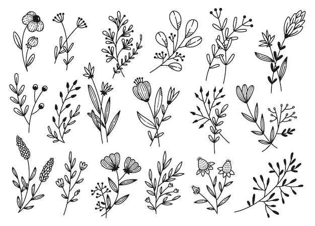 Ensemble d'illustrations vectorielles de griffonnages floraux nature dessinés à la main