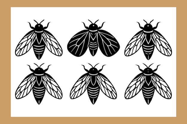 Ensemble d'illustrations vectorielles d'insectes de la cicade
