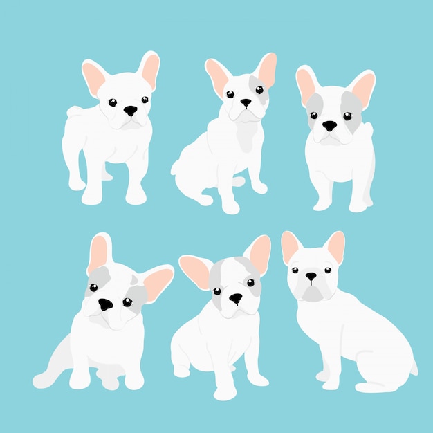 Ensemble D'illustrations Vectorielles De Mignon Petit Bouledogue Français Dans Différentes Positions. Chiot Heureux Drôle. Collection De Chiots Bouledogue Français Dans Un Style Plat De Dessin Animé Sur Fond Bleu.