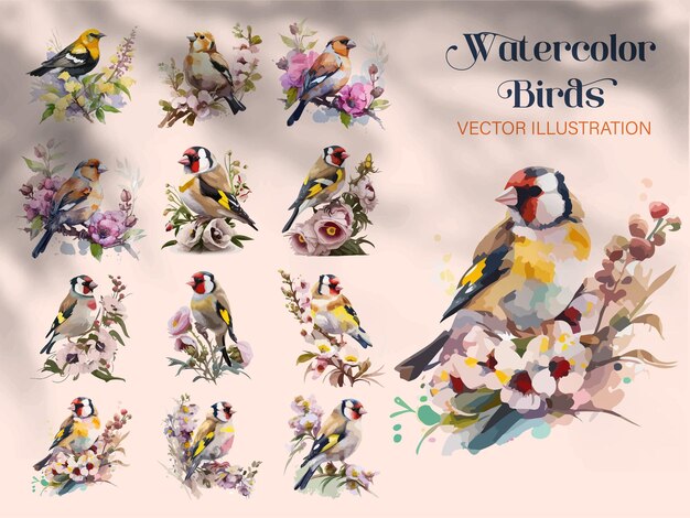 Vecteur ensemble d'illustrations vectorielles d'oiseaux et de moineaux aquarellessur des branches décorées de feuilles et de fleurs