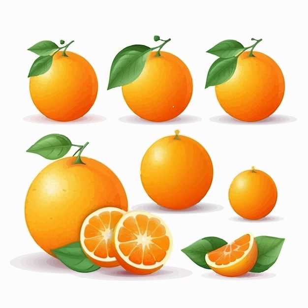 Un ensemble d'illustrations vectorielles orange juteuses qui feront ressortir vos créations